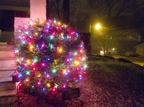 A Picture Each Day: Christmas Lights & Snow