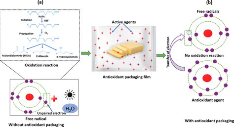 Representation of oxidation and antioxidant mechanism (a) oxidation ...