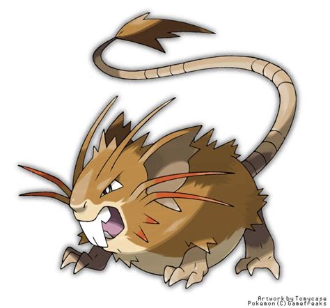 Mega Raticate (Normal/Dark) | Pokemon art, Pokémon species, Mega evolution pokemon