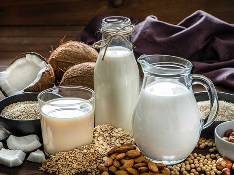 Which Vegan Plant-Based Milk Has The Most Protein? — OopsVegan