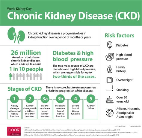 To your (kidneys’) health | Urology