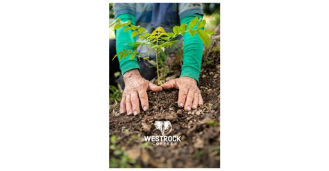 Westrock Coffee Company Releases 2020-2021 Sustainability Report ...