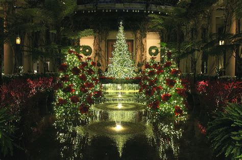 Christmas Gardens | Garden Housecalls