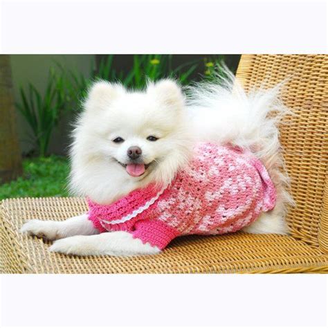 Teacup dog clothes – Artofit