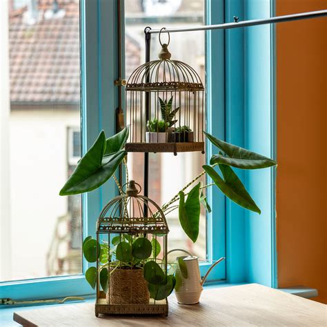 Decorative Metal Bird Cage - Set of 2