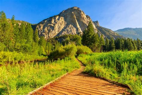 13 Best Hikes in Sequoia National Park (+ Kings Canyon!)