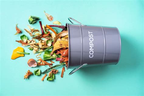 20 Garbage Disposal Unit Alternatives: Eco-friendly Ideas for Waste Management