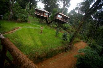 Munnar Tree House | Tree House Munnar Kerala | Tree House Kerala Munnar Nature Zone Resort ...