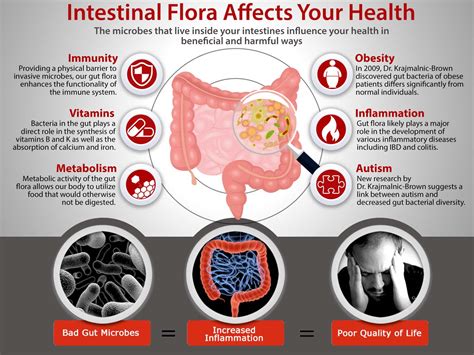 China have shown a potential link between healthy aging and a healthy gut - https://debuglies.com