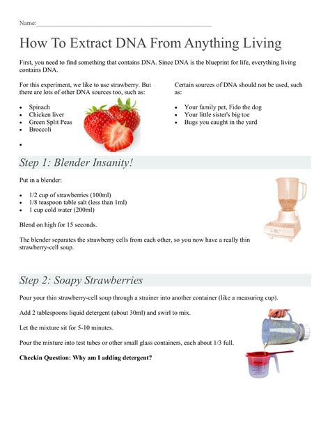 Strawberry Dna Extraction Lab Worksheet – Englishworksheet.my.id