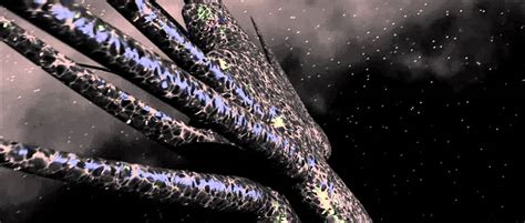 Babylon 5 shadow ships - railwikiai