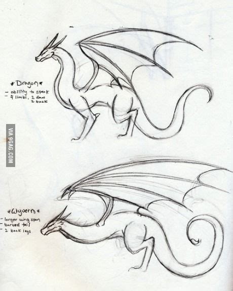 Wyvern Dragon Drawing