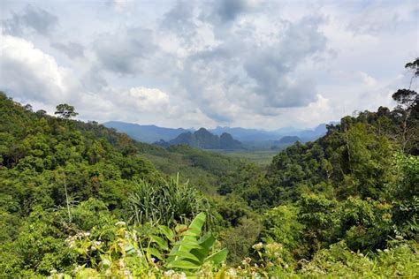 Premium Photo | Khao Sok National Park