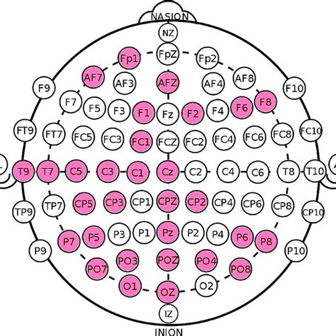 64 EEG channels based on the 10-20 system. We have used the highlighted ...