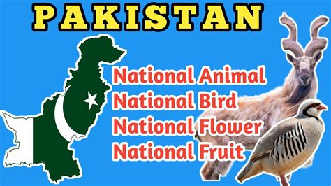 Top 105+ Name of national animal of pakistan - Merkantilaklubben.org