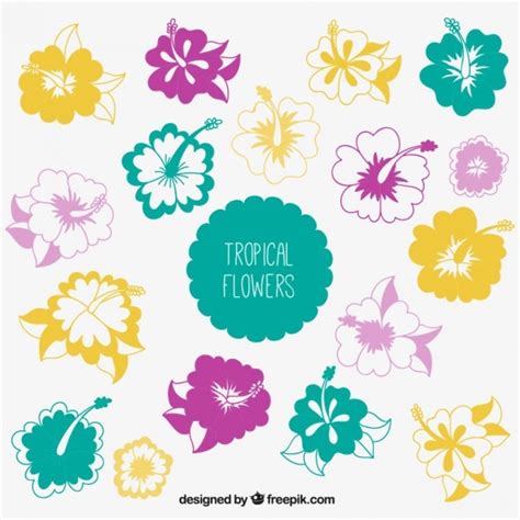 Free Vector | Tropical flowers collection