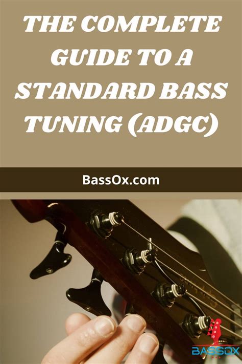 A Standard Bass Tuning: How to Tune Your Bass Guitar