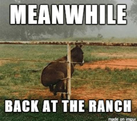 50+ Best Farming Memes, So Funny Your Goat Will Laugh - Farmhacker.com