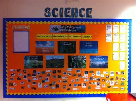 Science. Living things and their habitats | Display boards for school, Classroom displays, Habitats