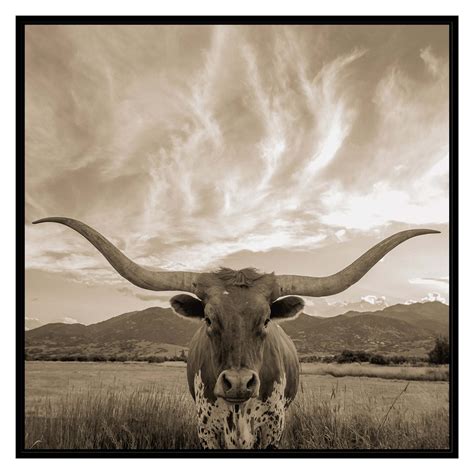 PTM Images Longhorn Framed Canvas Wall Art - Walmart.com - Walmart.com