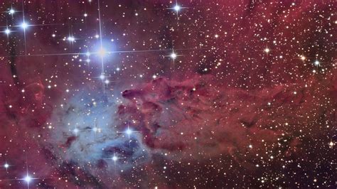 Fox fur nebula space free desktop background - free wallpaper image