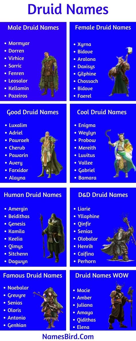 1600+ Druid Names [2024]