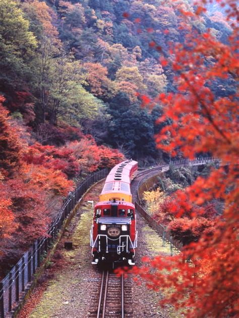 The Sagano Romantic Train: A Scenic Route through the Four Seasons | Goin’ Japanesque!