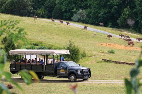 The North Carolina Zoo | Our State