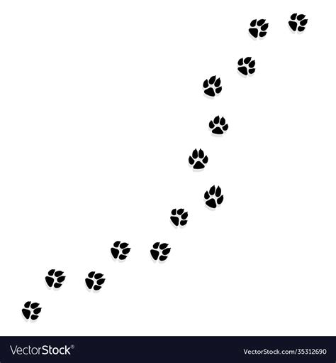 Are Dog And Cat Paw Prints The Same