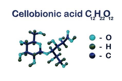 2 Cellobionic Acid Royalty-Free Images, Stock Photos & Pictures | Shutterstock