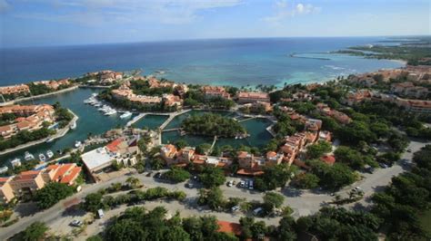 Places to Swim With Dolphins in Cancun | Dolphin Discovery