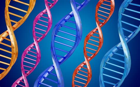 What is the Methylation Cycle?