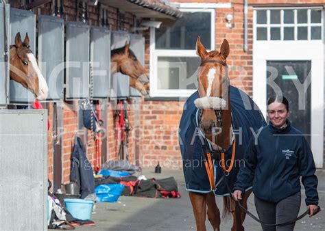 "A Day at The Races" - Haydock Park- Wed 22 Mar 2023 - Nigel Kirby ...