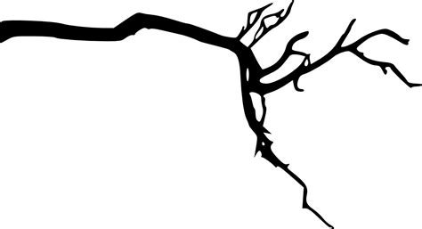 12 Tree Branch Silhouette (PNG Transparent) Vol. 3 | OnlyGFX.com