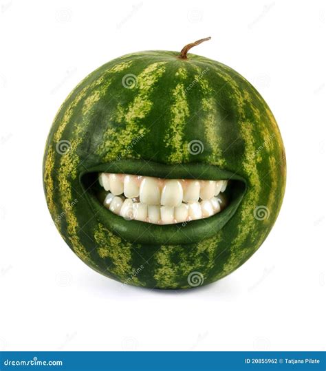 Funny Watermelon Stock Photography - Image: 20855962