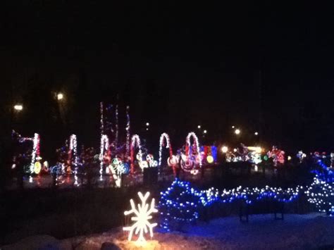 Calgary zoo lights | Zoo lights, Christmas beauty, Zoo