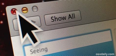 Adjust the Size of the Mouse Pointer in Mac OS