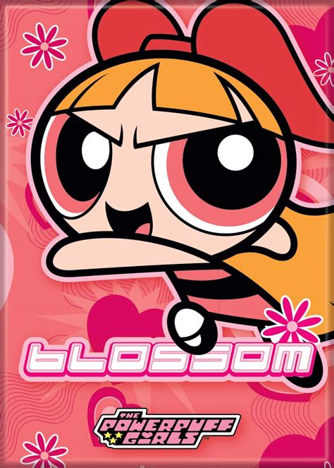 Blossom Powerpuff Girls