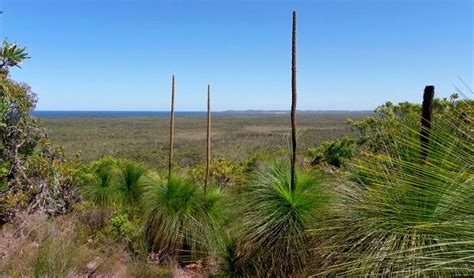 Broadwater National Park | NSW National Parks