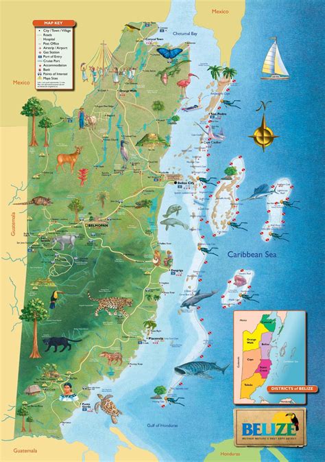 Map of Belize | Belize vacations, Map of belize, Belize honeymoon