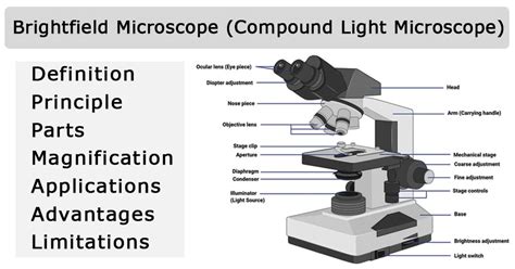 Brightfield Microscope: Principle, Parts, Applications