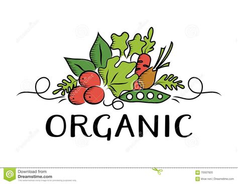 Vegetable and organic Logo stock vector. Illustration of tomato ...