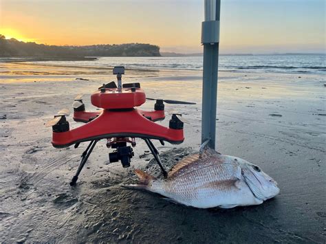 Embracing Drone Fishing: A Seasoned Angler's Guide — Urban Drones