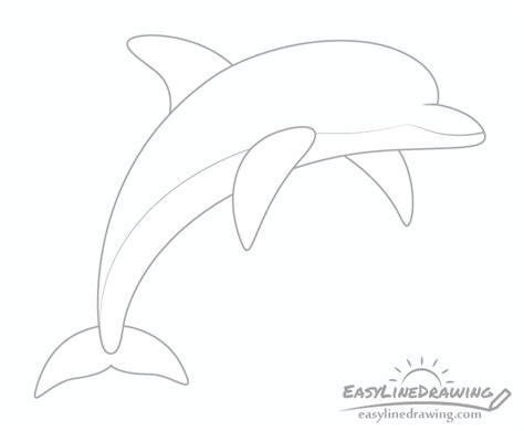 How to Draw a Dolphin Step by Step - EasyLineDrawing