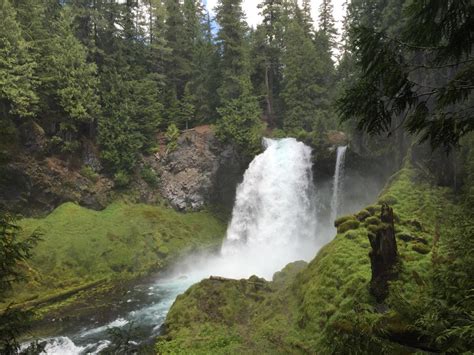 Go McKenzie River | Waterfalls | Eugene, Cascades & Oregon Coast