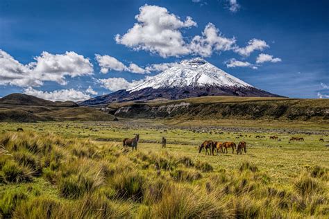 Parque Nacional Cotopaxi | Parque Nacional Cotopaxi, Ecuador Parque Nacional Cotopaxi - Lonely ...