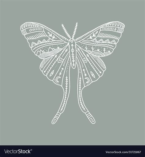 Moon moth wildlife concept boho tattoo art Vector Image