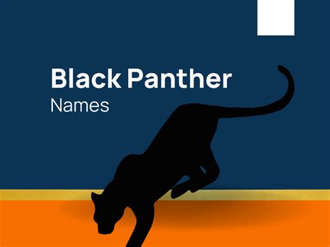 497+ Catchy and Cool Black Panther Names ideas (+Generator)