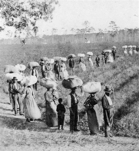 Cotton Plantations Slavery