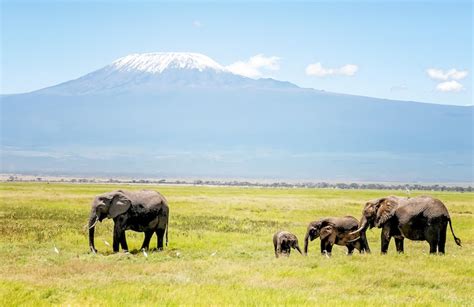 10 Best Places to Visit in Tanzania (+Map) - Touropia